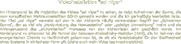 Videoinstallation "sol niger"